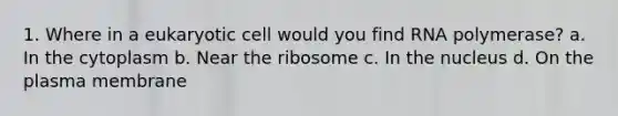 1. Where in a eukaryotic cell would you find RNA polymerase? a. In the cytoplasm b. Near the ribosome c. In the nucleus d. On the plasma membrane