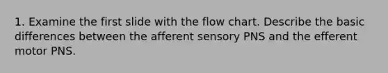 1. Examine the first slide with the flow chart. Describe the basic differences between the afferent sensory PNS and the efferent motor PNS.