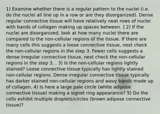 1) Examine whether there is a regular pattern to the nuclei (i.e. do the nuclei all line up in a row or are they disorganized). Dense regular connective tissue will have relatively neat rows of nuclei with bands of collagen making up spaces between. ] 2) If the nuclei are disorganized, look at how many nuclei there are compared to the non-cellular regions of the tissue. If there are many cells this suggests a loose connective tissue, next check the non-cellular regions in the step 3. Fewer cells suggests a dense irregular connective tissue, next check the non-cellular regions in the step 3. . 3) Is the non-cellular regions lightly stained? Loose connective tissue typically has lightly stained non-cellular regions. Dense irregular connective tissue typically has darker stained non-cellular regions and wavy bands made up of collagen. 4) Is here a large pale circle (white adipose connective tissue) making a signet ring appearance? 5) Do the cells exhibit multiple droplets/circles (brown adipose connective tissue)?