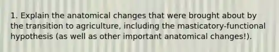 1. Explain the anatomical changes that were brought about by the transition to agriculture, including the masticatory-functional hypothesis (as well as other important anatomical changes!).