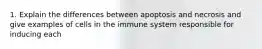 1. Explain the differences between apoptosis and necrosis and give examples of cells in the immune system responsible for inducing each