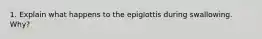 1. Explain what happens to the epiglottis during swallowing. Why?