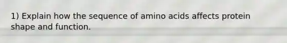 1) Explain how the sequence of amino acids affects protein shape and function.