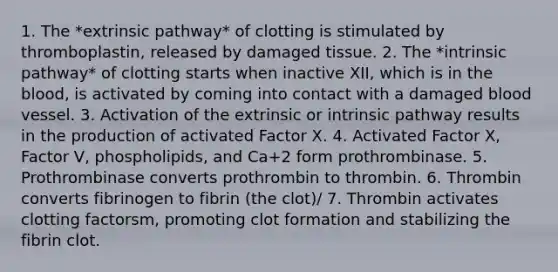 1. The *extrinsic pathway* of clotting is stimulated by thromboplastin, released by damaged tissue. 2. The *intrinsic pathway* of clotting starts when inactive XII, which is in the blood, is activated by coming into contact with a damaged blood vessel. 3. Activation of the extrinsic or intrinsic pathway results in the production of activated Factor X. 4. Activated Factor X, Factor V, phospholipids, and Ca+2 form prothrombinase. 5. Prothrombinase converts prothrombin to thrombin. 6. Thrombin converts fibrinogen to fibrin (the clot)/ 7. Thrombin activates clotting factorsm, promoting clot formation and stabilizing the fibrin clot.