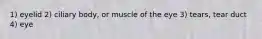 1) eyelid 2) ciliary body, or muscle of the eye 3) tears, tear duct 4) eye