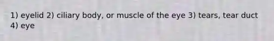 1) eyelid 2) ciliary body, or muscle of the eye 3) tears, tear duct 4) eye