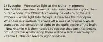 1) Eyesight: - We receive light at the retina--> pigment RHODOPSIN contains vitamin A - Maintains healthy crystal-clear outer window, the CORNEA- covering the outside of the eye. Process: - When light hits the eye, it bleaches the rhodopsin. When this is bleached, it breaks off a piece of vitamin A which transports the sensation of sight to the optic centre of the brain. - New vitamin A is then needed to replace that part that breaks off. - If vitamin A deficiency, there will be a lack in recovery of vitamin A. This can lead to night blindness.