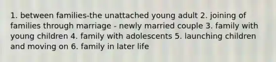 1. between families-the unattached young adult 2. joining of families through marriage - newly married couple 3. family with young children 4. family with adolescents 5. launching children and moving on 6. family in later life