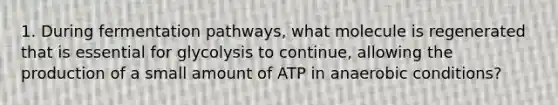 1. During fermentation pathways, what molecule is regenerated that is essential for glycolysis to continue, allowing the production of a small amount of ATP in anaerobic conditions?