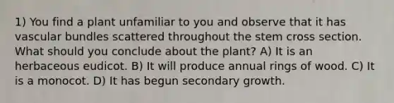 1) You find a plant unfamiliar to you and observe that it has vascular bundles scattered throughout the stem cross section. What should you conclude about the plant? A) It is an herbaceous eudicot. B) It will produce annual rings of wood. C) It is a monocot. D) It has begun secondary growth.