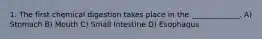 1. The first chemical digestion takes place in the _____________. A) Stomach B) Mouth C) Small Intestine D) Esophagus