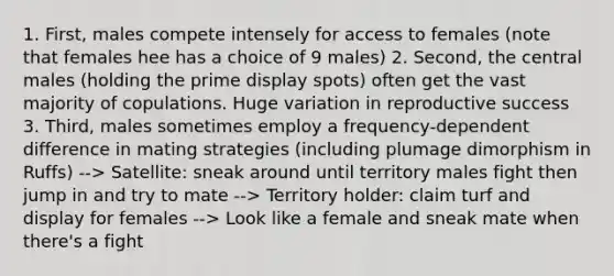 1. First, males compete intensely for access to females (note that females hee has a choice of 9 males) 2. Second, the central males (holding the prime display spots) often get the vast majority of copulations. Huge variation in reproductive success 3. Third, males sometimes employ a frequency-dependent difference in mating strategies (including plumage dimorphism in Ruffs) --> Satellite: sneak around until territory males fight then jump in and try to mate --> Territory holder: claim turf and display for females --> Look like a female and sneak mate when there's a fight