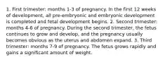 1. First trimester: months 1-3 of pregnancy. In the first 12 weeks of development, all pre-embryonic and embryonic development is completed and fetal development begins. 2. Second trimester: months 4-6 of pregnancy. During the second trimester, the fetus continues to grow and develop, and the pregnancy usually becomes obvious as the uterus and abdomen expand. 3. Third trimester: months 7-9 of pregnancy. The fetus grows rapidly and gains a significant amount of weight.