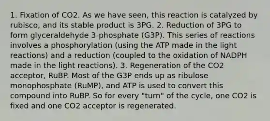 1. Fixation of CO2. As we have seen, this reaction is catalyzed by rubisco, and its stable product is 3PG. 2. Reduction of 3PG to form glyceraldehyde 3-phosphate (G3P). This series of reactions involves a phosphorylation (using the ATP made in the <a href='https://www.questionai.com/knowledge/kSUoWrrvoC-light-reactions' class='anchor-knowledge'>light reactions</a>) and a reduction (coupled to the oxidation of NADPH made in the light reactions). 3. Regeneration of the CO2 acceptor, RuBP. Most of the G3P ends up as ribulose monophosphate (RuMP), and ATP is used to convert this compound into RuBP. So for every "turn" of the cycle, one CO2 is fixed and one CO2 acceptor is regenerated.