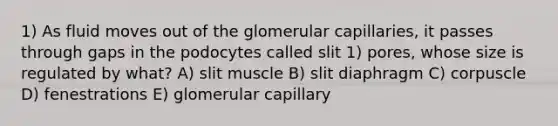 1) As fluid moves out of the glomerular capillaries, it passes through gaps in the podocytes called slit 1) pores, whose size is regulated by what? A) slit muscle B) slit diaphragm C) corpuscle D) fenestrations E) glomerular capillary