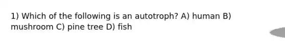 1) Which of the following is an autotroph? A) human B) mushroom C) pine tree D) fish