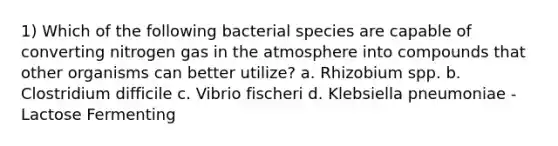 1) Which of the following bacterial species are capable of converting nitrogen gas in the atmosphere into compounds that other organisms can better utilize? a. Rhizobium spp. b. Clostridium difficile c. Vibrio fischeri d. Klebsiella pneumoniae - Lactose Fermenting