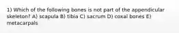 1) Which of the following bones is not part of the appendicular skeleton? A) scapula B) tibia C) sacrum D) coxal bones E) metacarpals