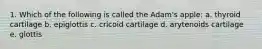 1. Which of the following is called the Adam's apple: a. thyroid cartilage b. epiglottis c. cricoid cartilage d. arytenoids cartilage e. glottis