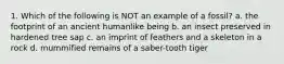 1. Which of the following is NOT an example of a fossil? a. the footprint of an ancient humanlike being b. an insect preserved in hardened tree sap c. an imprint of feathers and a skeleton in a rock d. mummified remains of a saber-tooth tiger