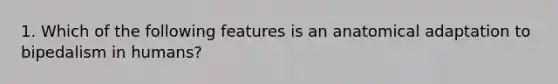 1. Which of the following features is an anatomical adaptation to bipedalism in humans?