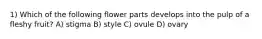 1) Which of the following flower parts develops into the pulp of a fleshy fruit? A) stigma B) style C) ovule D) ovary