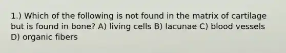 1.) Which of the following is not found in the matrix of cartilage but is found in bone? A) living cells B) lacunae C) <a href='https://www.questionai.com/knowledge/kZJ3mNKN7P-blood-vessels' class='anchor-knowledge'>blood vessels</a> D) organic fibers