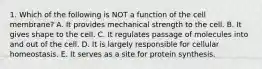 1. Which of the following is NOT a function of the cell membrane? A. It provides mechanical strength to the cell. B. It gives shape to the cell. C. It regulates passage of molecules into and out of the cell. D. It is largely responsible for cellular homeostasis. E. It serves as a site for protein synthesis.