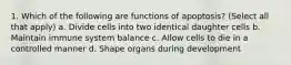 1. Which of the following are functions of apoptosis? (Select all that apply) a. Divide cells into two identical daughter cells b. Maintain immune system balance c. Allow cells to die in a controlled manner d. Shape organs during development