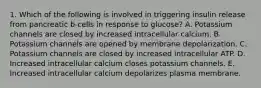 1. Which of the following is involved in triggering insulin release from pancreatic b-cells in response to glucose? A. Potassium channels are closed by increased intracellular calcium. B. Potassium channels are opened by membrane depolarization. C. Potassium channels are closed by increased intracellular ATP. D. Increased intracellular calcium closes potassium channels. E. Increased intracellular calcium depolarizes plasma membrane.