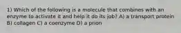 1) Which of the following is a molecule that combines with an enzyme to activate it and help it do its job? A) a transport protein B) collagen C) a coenzyme D) a prion