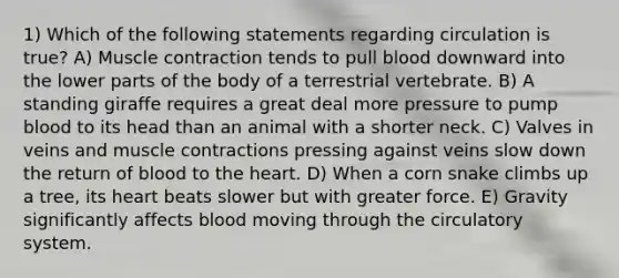 1) Which of the following statements regarding circulation is true? A) <a href='https://www.questionai.com/knowledge/k0LBwLeEer-muscle-contraction' class='anchor-knowledge'>muscle contraction</a> tends to pull blood downward into the lower parts of the body of a terrestrial vertebrate. B) A standing giraffe requires a great deal more pressure to pump blood to its head than an animal with a shorter neck. C) Valves in veins and muscle contractions pressing against veins slow down the return of blood to <a href='https://www.questionai.com/knowledge/kya8ocqc6o-the-heart' class='anchor-knowledge'>the heart</a>. D) When a corn snake climbs up a tree, its heart beats slower but with greater force. E) Gravity significantly affects blood moving through the circulatory system.