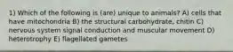 1) Which of the following is (are) unique to animals? A) cells that have mitochondria B) the structural carbohydrate, chitin C) nervous system signal conduction and muscular movement D) heterotrophy E) flagellated gametes