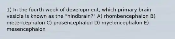 1) In the fourth week of development, which primary brain vesicle is known as the "hindbrain?" A) rhombencephalon B) metencephalon C) prosencephalon D) myelencephalon E) mesencephalon