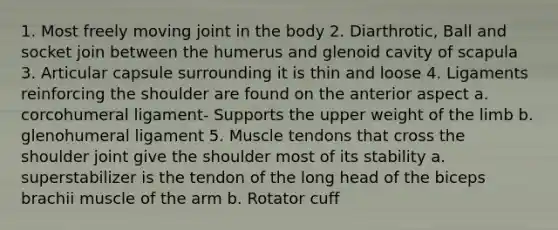 1. Most freely moving joint in the body 2. Diarthrotic, Ball and socket join between the humerus and glenoid cavity of scapula 3. Articular capsule surrounding it is thin and loose 4. Ligaments reinforcing the shoulder are found on the anterior aspect a. corcohumeral ligament- Supports the upper weight of the limb b. glenohumeral ligament 5. Muscle tendons that cross the shoulder joint give the shoulder most of its stability a. superstabilizer is the tendon of the long head of the biceps brachii muscle of the arm b. Rotator cuff