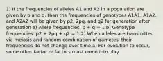 1) If the frequencies of alleles A1 and A2 in a population are given by p and q, then the frequencies of genotypes A1A1, A1A2, and A2A2 will be given by p2, 2pq, and q2 for generation after generation a) Allele frequencies: p + q = 1 b) Genotype frequencies: p2 + 2pq + q2 = 1 2) When alleles are transmitted via meiosis and random combination of gametes, their frequencies do not change over time a) For evolution to occur, some other factor or factors must come into play