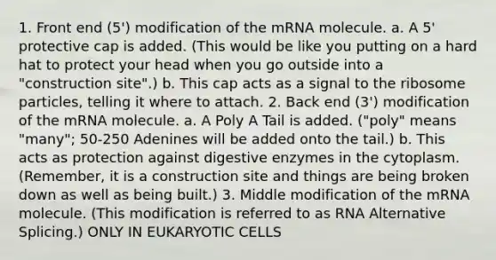 1. Front end (5') modification of the mRNA molecule. a. A 5' protective cap is added. (This would be like you putting on a hard hat to protect your head when you go outside into a "construction site".) b. This cap acts as a signal to the ribosome particles, telling it where to attach. 2. Back end (3') modification of the mRNA molecule. a. A Poly A Tail is added. ("poly" means "many"; 50-250 Adenines will be added onto the tail.) b. This acts as protection against digestive enzymes in the cytoplasm. (Remember, it is a construction site and things are being broken down as well as being built.) 3. Middle modification of the mRNA molecule. (This modification is referred to as RNA Alternative Splicing.) ONLY IN EUKARYOTIC CELLS