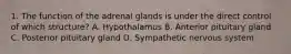 1. The function of the adrenal glands is under the direct control of which structure? A. Hypothalamus B. Anterior pituitary gland C. Posterior pituitary gland D. Sympathetic nervous system