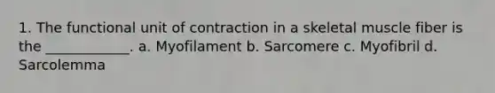 1. The functional unit of contraction in a skeletal muscle fiber is the ____________. a. Myofilament b. Sarcomere c. Myofibril d. Sarcolemma