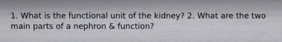 1. What is the functional unit of the kidney? 2. What are the two main parts of a nephron & function?