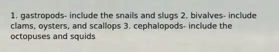 1. gastropods- include the snails and slugs 2. bivalves- include clams, oysters, and scallops 3. cephalopods- include the octopuses and squids