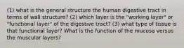 (1) what is the general structure the human digestive tract in terms of wall structure? (2) which layer is the "working layer" or "functional layer" of the digestive tract? (3) what type of tissue is that functional layer? What is the function of the mucosa versus the muscular layers?