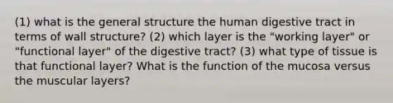 (1) what is the general structure the human digestive tract in terms of wall structure? (2) which layer is the "working layer" or "functional layer" of the digestive tract? (3) what type of tissue is that functional layer? What is the function of the mucosa versus the muscular layers?