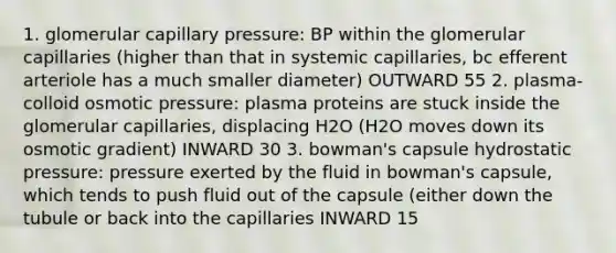 1. glomerular capillary pressure: BP within the glomerular capillaries (higher than that in systemic capillaries, bc efferent arteriole has a much smaller diameter) OUTWARD 55 2. plasma-colloid osmotic pressure: plasma proteins are stuck inside the glomerular capillaries, displacing H2O (H2O moves down its osmotic gradient) INWARD 30 3. bowman's capsule hydrostatic pressure: pressure exerted by the fluid in bowman's capsule, which tends to push fluid out of the capsule (either down the tubule or back into the capillaries INWARD 15