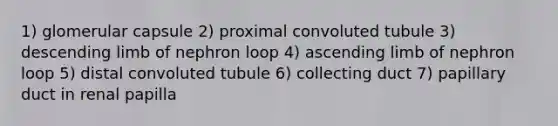 1) glomerular capsule 2) proximal convoluted tubule 3) descending limb of nephron loop 4) ascending limb of nephron loop 5) distal convoluted tubule 6) collecting duct 7) papillary duct in renal papilla