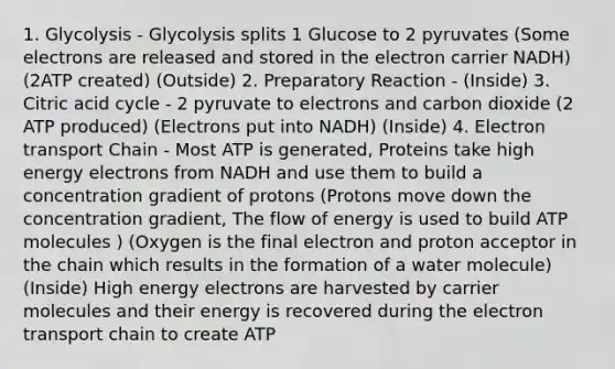 1. Glycolysis - Glycolysis splits 1 Glucose to 2 pyruvates (Some electrons are released and stored in the electron carrier NADH) (2ATP created) (Outside) 2. Preparatory Reaction - (Inside) 3. Citric acid cycle - 2 pyruvate to electrons and carbon dioxide (2 ATP produced) (Electrons put into NADH) (Inside) 4. Electron transport Chain - Most ATP is generated, Proteins take high energy electrons from NADH and use them to build a concentration gradient of protons (Protons move down the concentration gradient, The flow of energy is used to build ATP molecules ) (Oxygen is the final electron and proton acceptor in the chain which results in the formation of a water molecule) (Inside) High energy electrons are harvested by carrier molecules and their energy is recovered during the electron transport chain to create ATP