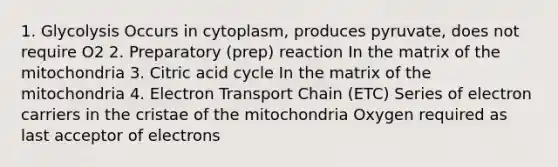 1. Glycolysis Occurs in cytoplasm, produces pyruvate, does not require O2 2. Preparatory (prep) reaction In the matrix of the mitochondria 3. Citric acid cycle In the matrix of the mitochondria 4. Electron Transport Chain (ETC) Series of electron carriers in the cristae of the mitochondria Oxygen required as last acceptor of electrons