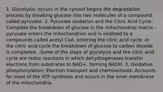 1. Glycolysis: occurs in the cytosol begins the degradation process by breaking glucose into two molecules of a compound called pyruvate. 2. Pyruvate oxidation and the Citric Acid Cycle: Complete the breakdown of glucose in the mitochondrial matrix -pyruvate enters the mitochondrion and is oxidized to a compounds called acetyl CoA, entering the citric acid cycle -in the citric acid cycle the breakdown of glucose to carbon dioxide is completed. -Some of the steps of glycolysis and the citric acid cycle are redox reactions in which dehydrogenases transfer electrons from substrates to NAD+, forming NADH. 3. Oxidative phosphorylation: Electron transport and chemiosmosis: Accounts for most of the ATP synthesis and occurs in the inner membrane of the mitochondria.