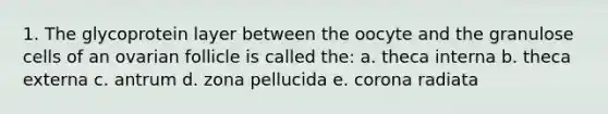 1. The glycoprotein layer between the oocyte and the granulose cells of an ovarian follicle is called the: a. theca interna b. theca externa c. antrum d. zona pellucida e. corona radiata