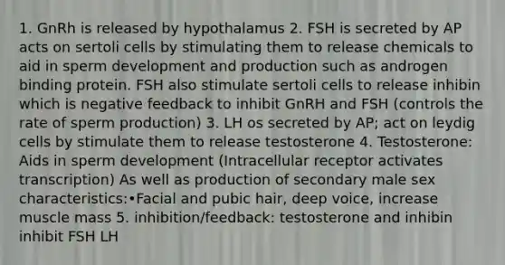 1. GnRh is released by hypothalamus 2. FSH is secreted by AP acts on sertoli cells by stimulating them to release chemicals to aid in sperm development and production such as androgen binding protein. FSH also stimulate sertoli cells to release inhibin which is negative feedback to inhibit GnRH and FSH (controls the rate of sperm production) 3. LH os secreted by AP; act on leydig cells by stimulate them to release testosterone 4. Testosterone: Aids in sperm development (Intracellular receptor activates transcription) As well as production of secondary male sex characteristics:•Facial and pubic hair, deep voice, increase muscle mass 5. inhibition/feedback: testosterone and inhibin inhibit FSH LH